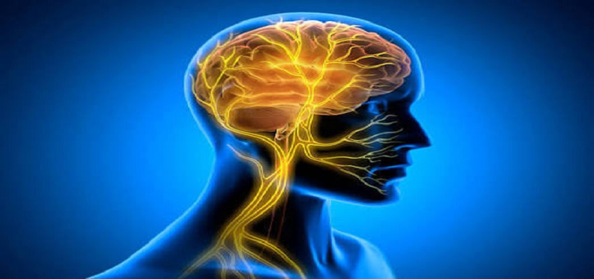 Best Brain and Nerve Specialist in South Mumbai - Dr. Laxmi Patil
