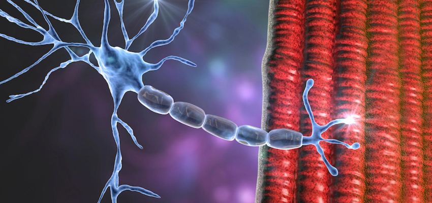 Motor Neuron Disease